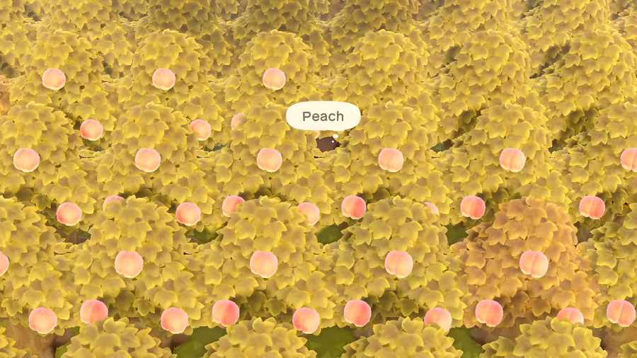 picking peaches in Animal Crossing New Horizons, overhead view